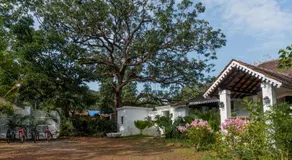 The Island Sanctuary - A Village Secret - Image 5