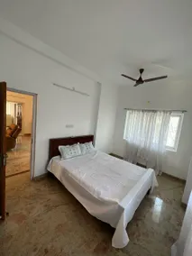 Mango ranch - Image 3