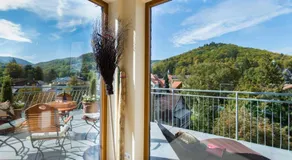 Plumbohms ECHT-HARZ-HOTEL - Image 4