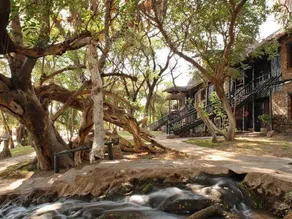 Sarova Shaba Game Lodge - Image 5