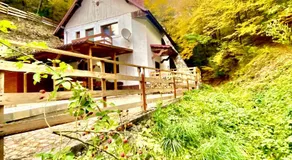 Căsuța din Pădure - Image 3