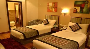 Hotel Downtown Jalandhar - Image 4