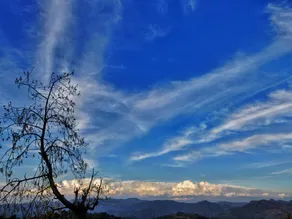 Shivoham Himalayan Resort - Image 5