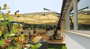 Lula Hotel - Ex Love & Fama Hotel - Image 2