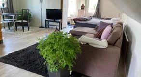 Gäst lägenheten med egen terrass - Image 2