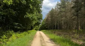 Studio les Écuries de la forêt 2 - Image 3