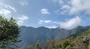 Stay Enjoy - Image 3