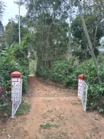 Coorg klusters estate stay - Image 5