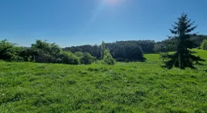 Chabaillac - Gite - Image 4