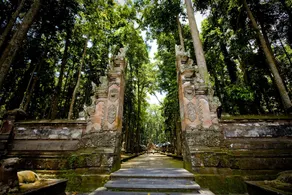 Villa Uma Dangin - Image 4