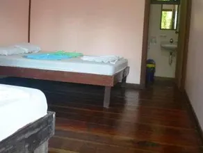 Cabinas Tortuguero - Image 3