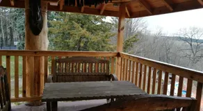 Tree House - Image 3
