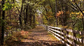 New Paltz Way Hotel - Image 5