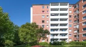 Luette Eck - Image 4