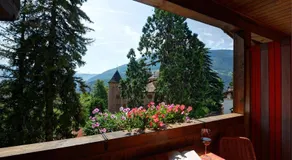 Apparthotel Taufenbrunn - Image 4
