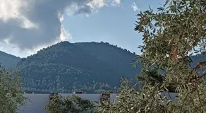 The Olive Hills - Image 4