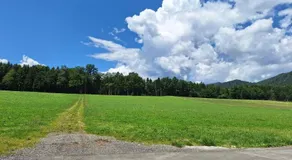 Schindelbacherhof - Image 4