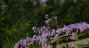 Aashiyana Residency - Image 4