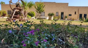 Masseria Don Egidio - Image 4