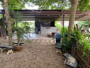 Daisy Hotel @Wiang Kaen - Image 3