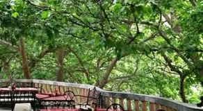 Motel Restaurant Merina - Image 3