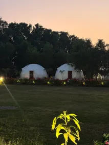 Ram Shyam Village Resort - Image 5