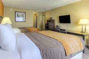 Comfort Inn - Image 3