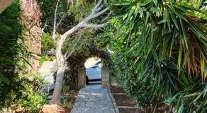 The Little House - Image 5