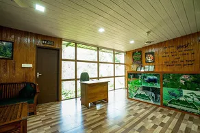 Nelliyampathy Hill Valley - Image 5