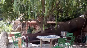 Casa rural La Libelula Ayna - Image 4