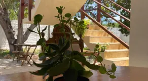 Meu Lugar Parnaiba - Image 4