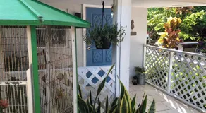 Independent Studio in Little Havana - Image 2