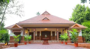 Back to Roots Ayurveda Retreat - Image 3