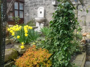 Rob Roy - Self Check-In Boutique Accommodation - Image 2