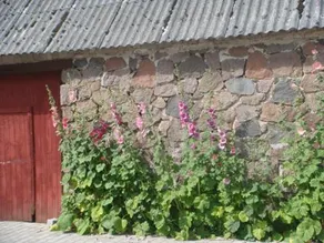 Lyngvej 16 B&B - Image 1