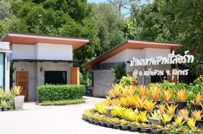 Baan Klang Suan Resort - Image 3