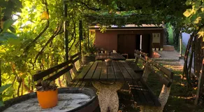 Adorable guesthouse in the middle of vineyards - Image 5