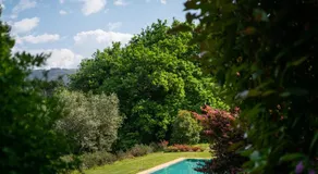 Wine Tourism - Quinta do Ameal - Image 3