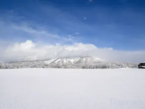 Private Mountain Villa in Niseko | Nordic Sauna & Minutes to Ski Resorts | Newly Built 2026 - Image 4