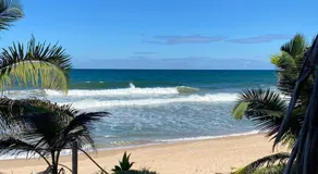 Cabana Família Coruja - Image 4