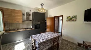 La lavanda - Image 4