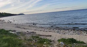 Vik Österlen - Image 5
