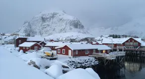 Lofoten Fishing - Image 4