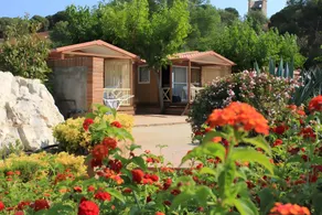 Mobil home avec barbecue, terrasse et jardin - Image 3