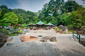 Sutera Sanctuary at Poring Hot Spring - Image 5