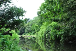 Vattakunny Wild Orchid Resort - Image 4