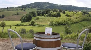 Cascina Angelina - Image 5