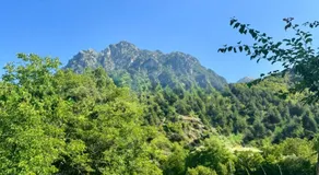 Nika Guesthouse & Camp - Image 4