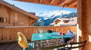 Panoramapark Soleil Chalet F Apt. \"Silbermond\" - Image 3