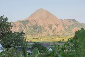 Villa Strawberry Sembalun - Image 4